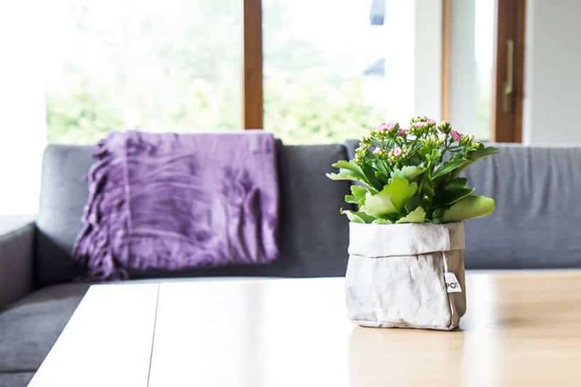 drewniany stół z kwiatami szara kanapa