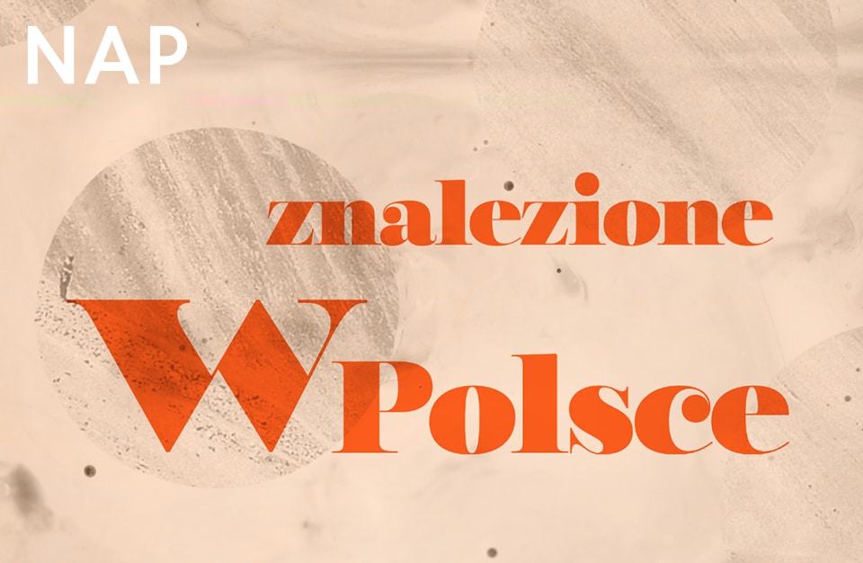 plakat konkursu NAP Znalezione w Polsce